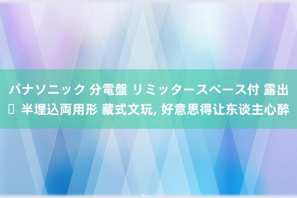 パナソニック 分電盤 リミッタースペース付 露出・半埋込両用形 藏式文玩， 好意思得让东谈主心醉