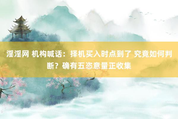 淫淫网 机构喊话：择机买入时点到了 究竟如何判断？确有五恣意量正收集