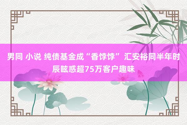 男同 小说 纯债基金成“香饽饽” 汇安裕同半年时辰眩惑超75万客户趣味