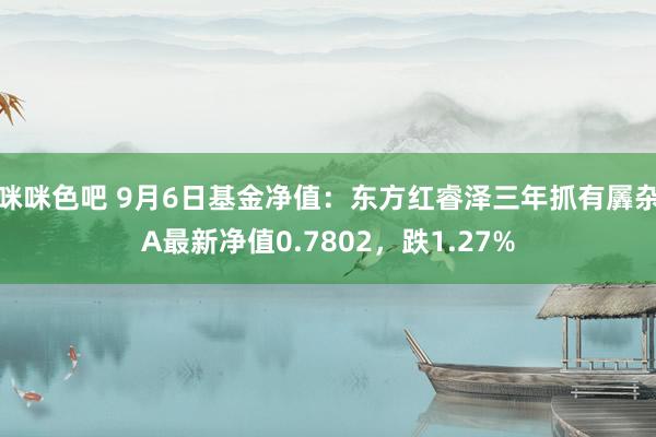 咪咪色吧 9月6日基金净值：东方红睿泽三年抓有羼杂A最新净值0.7802，跌1.27%