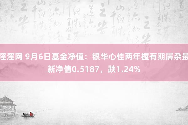 淫淫网 9月6日基金净值：银华心佳两年握有期羼杂最新净值0.5187，跌1.24%