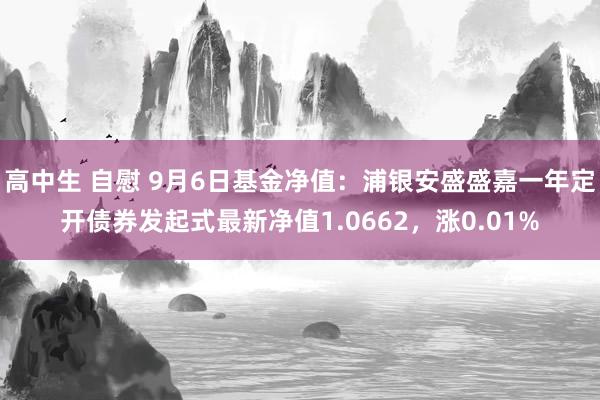 高中生 自慰 9月6日基金净值：浦银安盛盛嘉一年定开债券发起式最新净值1.0662，涨0.01%