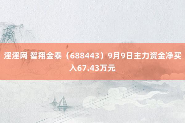 淫淫网 智翔金泰（688443）9月9日主力资金净买入67.43万元