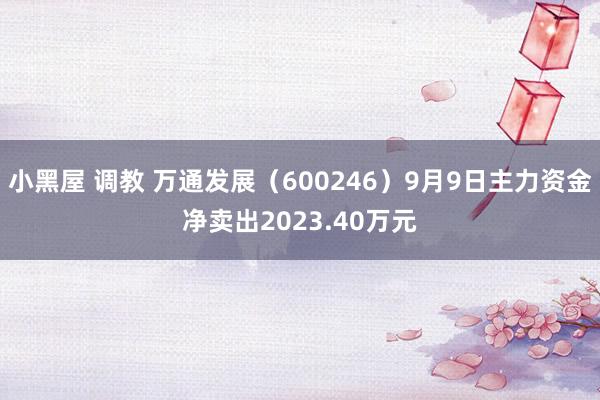 小黑屋 调教 万通发展（600246）9月9日主力资金净卖出2023.40万元