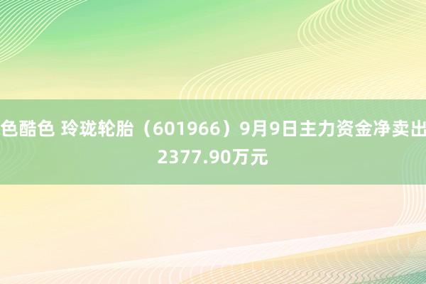 色酷色 玲珑轮胎（601966）9月9日主力资金净卖出2377.90万元