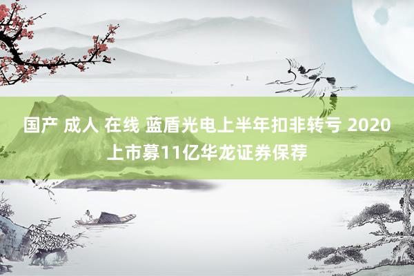 国产 成人 在线 蓝盾光电上半年扣非转亏 2020上市募11亿华龙证券保荐