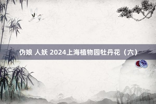 伪娘 人妖 2024上海植物园牡丹花（六）