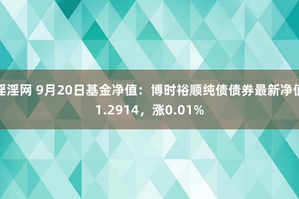 淫淫网 9月20日基金净值：博时裕顺纯债债券最新净值1.2914，涨0.01%