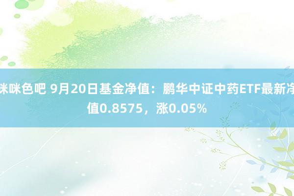 咪咪色吧 9月20日基金净值：鹏华中证中药ETF最新净值0.8575，涨0.05%