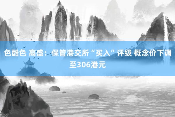 色酷色 高盛：保管港交所“买入”评级 概念价下调至306港元