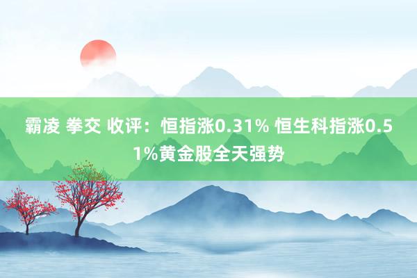 霸凌 拳交 收评：恒指涨0.31% 恒生科指涨0.51%黄金股全天强势