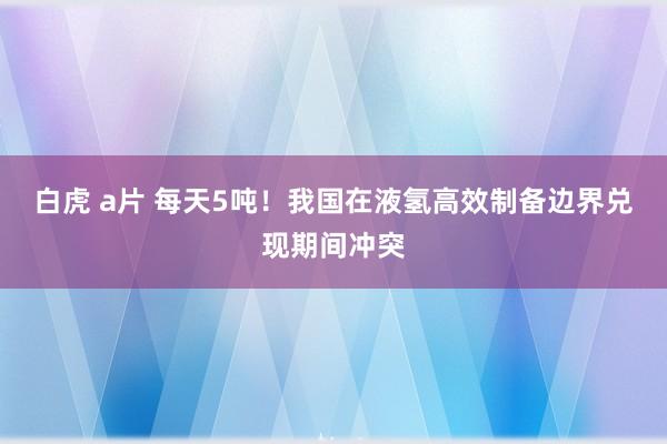 白虎 a片 每天5吨！我国在液氢高效制备边界兑现期间冲突