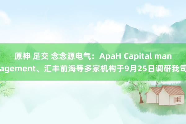 原神 足交 念念源电气：ApaH Capital management、汇丰前海等多家机构于9月25日调研我司