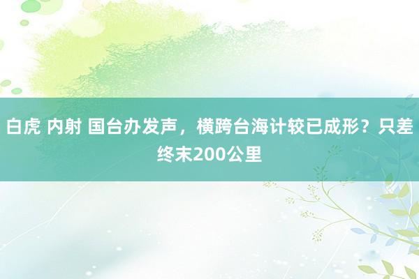 白虎 内射 国台办发声，横跨台海计较已成形？只差终末200公里