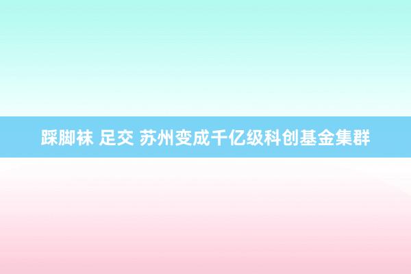 踩脚袜 足交 苏州变成千亿级科创基金集群