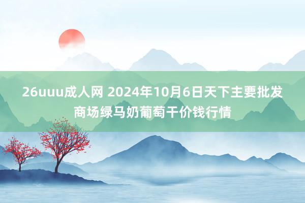 26uuu成人网 2024年10月6日天下主要批发商场绿马奶葡萄干价钱行情