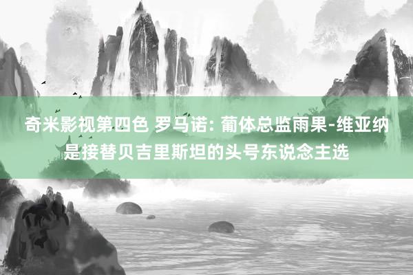 奇米影视第四色 罗马诺: 葡体总监雨果-维亚纳是接替贝吉里斯坦的头号东说念主选