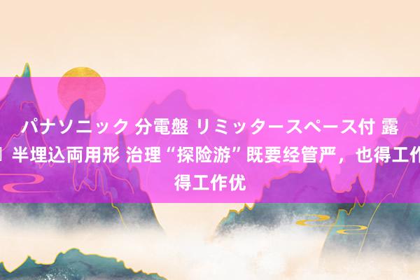 パナソニック 分電盤 リミッタースペース付 露出・半埋込両用形 治理“探险游”既要经管严，也得工作优