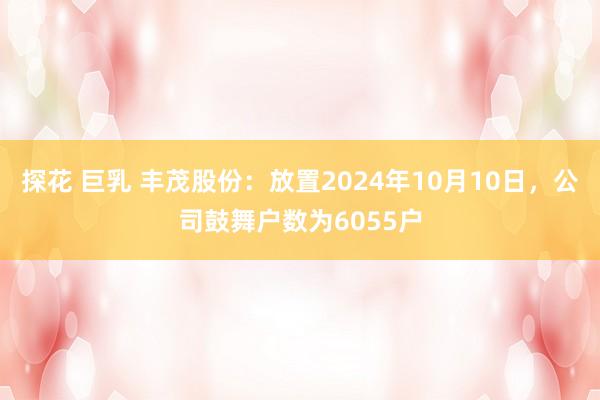 探花 巨乳 丰茂股份：放置2024年10月10日，公司鼓舞户数为6055户