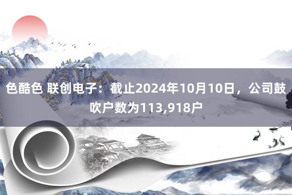 色酷色 联创电子：截止2024年10月10日，公司鼓吹户数为113，918户