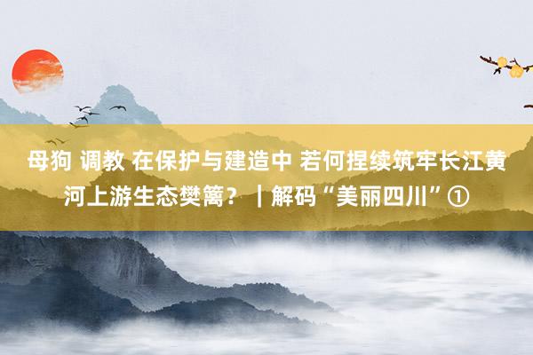 母狗 调教 在保护与建造中 若何捏续筑牢长江黄河上游生态樊篱？｜解码“美丽四川”①