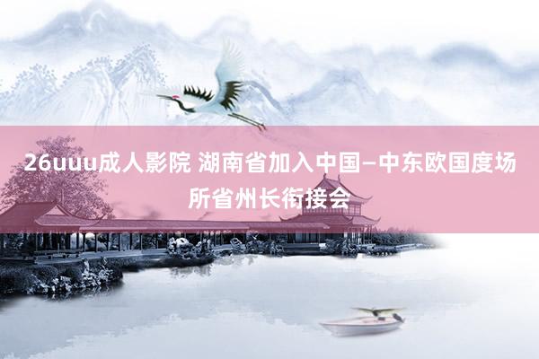 26uuu成人影院 湖南省加入中国—中东欧国度场所省州长衔接会