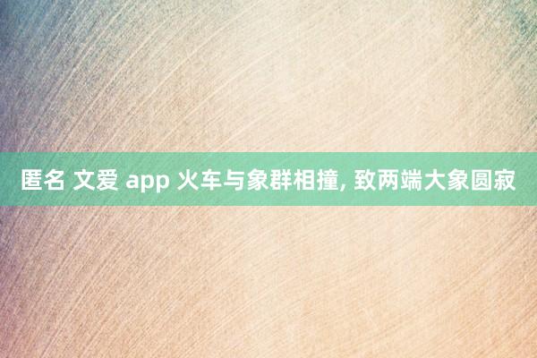 匿名 文爱 app 火车与象群相撞， 致两端大象圆寂