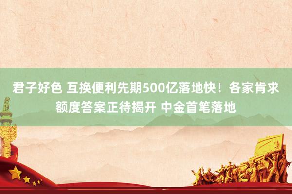 君子好色 互换便利先期500亿落地快！各家肯求额度答案正待揭开 中金首笔落地