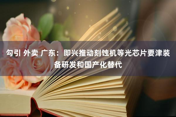 勾引 外卖 广东：即兴推动刻蚀机等光芯片要津装备研发和国产化替代