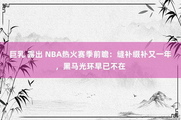 巨乳 露出 NBA热火赛季前瞻：缝补缀补又一年，黑马光环早已不在