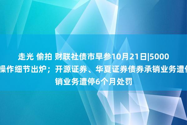 走光 偷拍 财联社债市早参10月21日|5000亿互换便利操作细节出炉；开源证券、华夏证券债券承销业务遭停6个月处罚