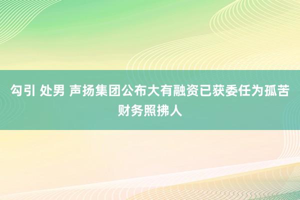 勾引 处男 声扬集团公布大有融资已获委任为孤苦财务照拂人