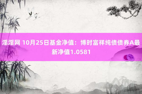 淫淫网 10月25日基金净值：博时富祥纯债债券A最新净值1.0581