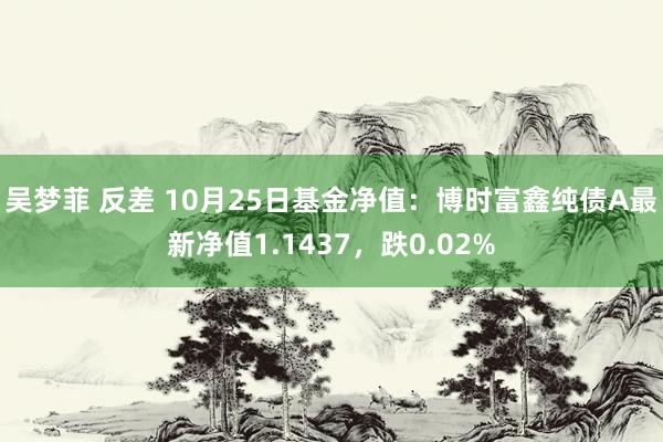 吴梦菲 反差 10月25日基金净值：博时富鑫纯债A最新净值1.1437，跌0.02%