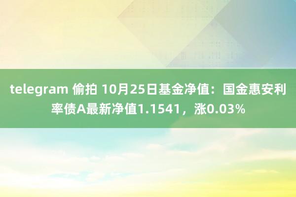 telegram 偷拍 10月25日基金净值：国金惠安利率债A最新净值1.1541，涨0.03%