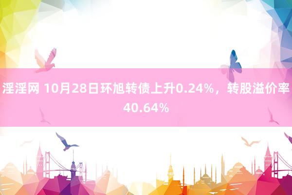 淫淫网 10月28日环旭转债上升0.24%，转股溢价率40.64%