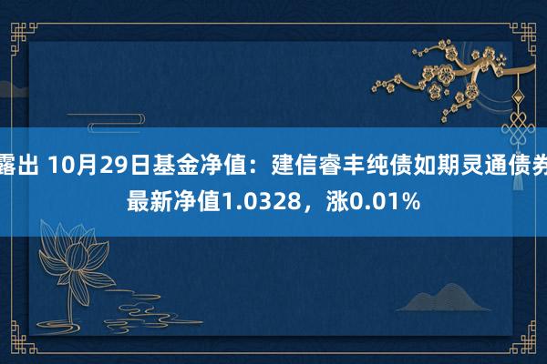 露出 10月29日基金净值：建信睿丰纯债如期灵通债券最新净值1.0328，涨0.01%