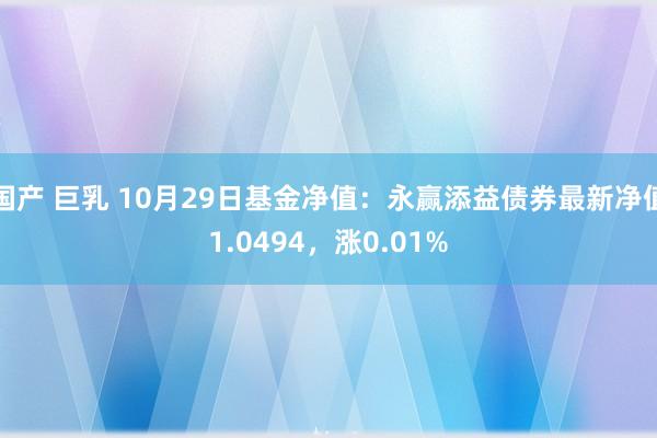 国产 巨乳 10月29日基金净值：永赢添益债券最新净值1.0494，涨0.01%