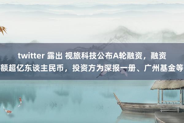 twitter 露出 视旅科技公布A轮融资，融资额超亿东谈主民币，投资方为深报一册、广州基金等