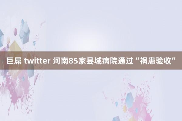 巨屌 twitter 河南85家县域病院通过“祸患验收”