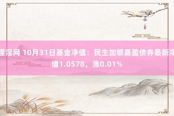 淫淫网 10月31日基金净值：民生加银嘉盈债券最新净值1.0578，涨0.01%