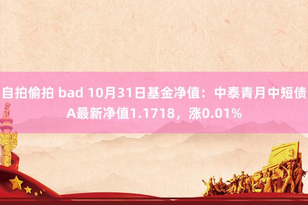 自拍偷拍 bad 10月31日基金净值：中泰青月中短债A最新净值1.1718，涨0.01%