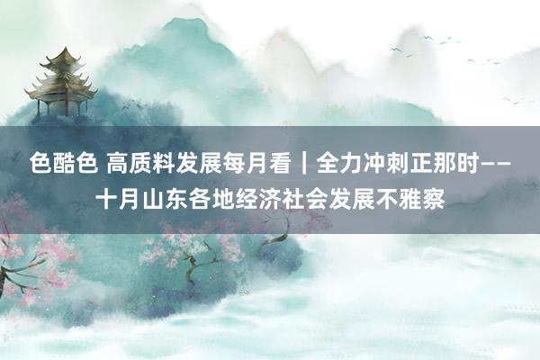 色酷色 高质料发展每月看｜全力冲刺正那时——十月山东各地经济社会发展不雅察