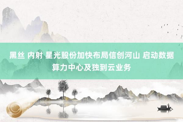 黑丝 内射 星光股份加快布局信创河山 启动数据算力中心及独到云业务