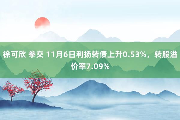 徐可欣 拳交 11月6日利扬转债上升0.53%，转股溢价率7.09%