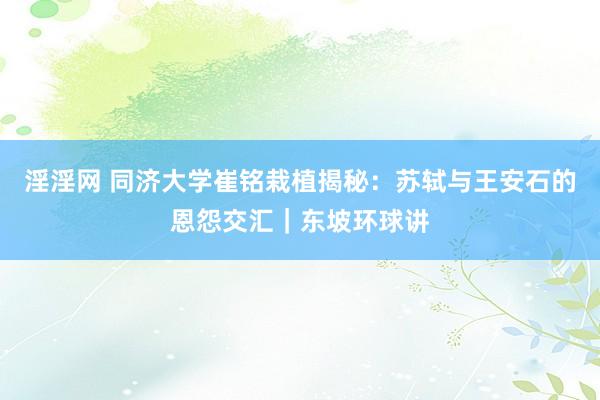 淫淫网 同济大学崔铭栽植揭秘：苏轼与王安石的恩怨交汇｜东坡环球讲