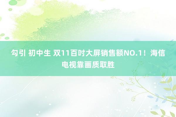 勾引 初中生 双11百吋大屏销售额NO.1！海信电视靠画质取胜