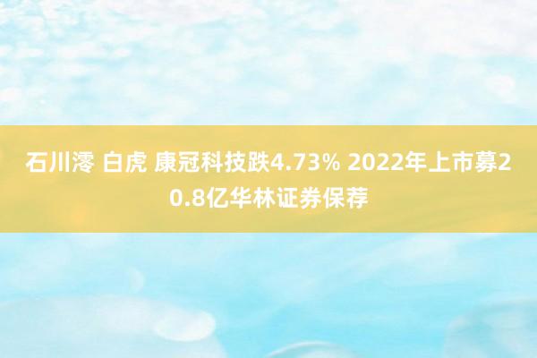 石川澪 白虎 康冠科技跌4.73% 2022年上市募20.8亿华林证券保荐