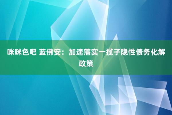 咪咪色吧 蓝佛安：加速落实一揽子隐性债务化解政策