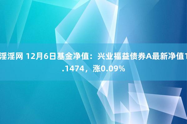 淫淫网 12月6日基金净值：兴业福益债券A最新净值1.1474，涨0.09%